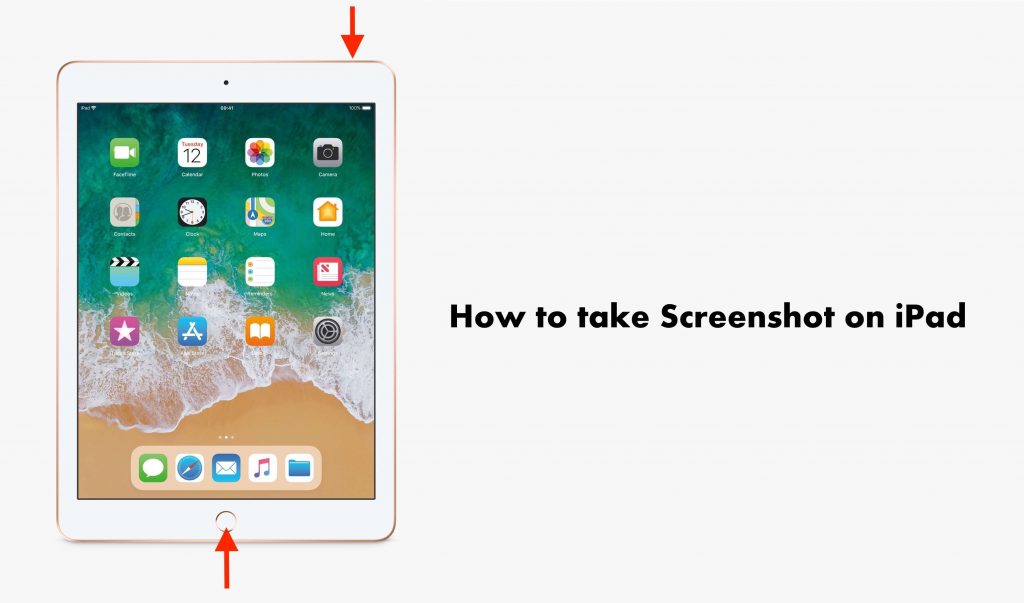 How to Take a Screenshot on iPad (All Generations) TechOwns