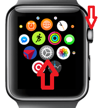 How to Update Apple Watch [Two Simple Methods] - TechOwns