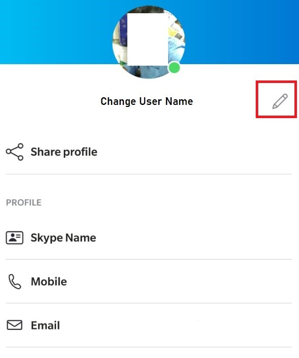 skype online usernames