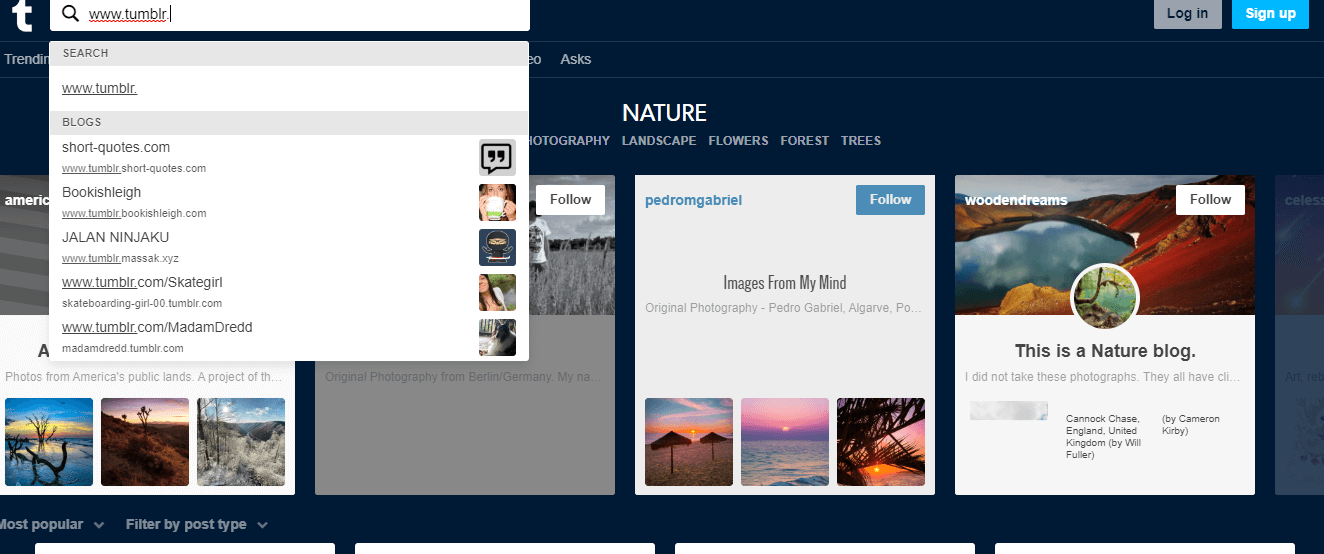 find tumblr email by username