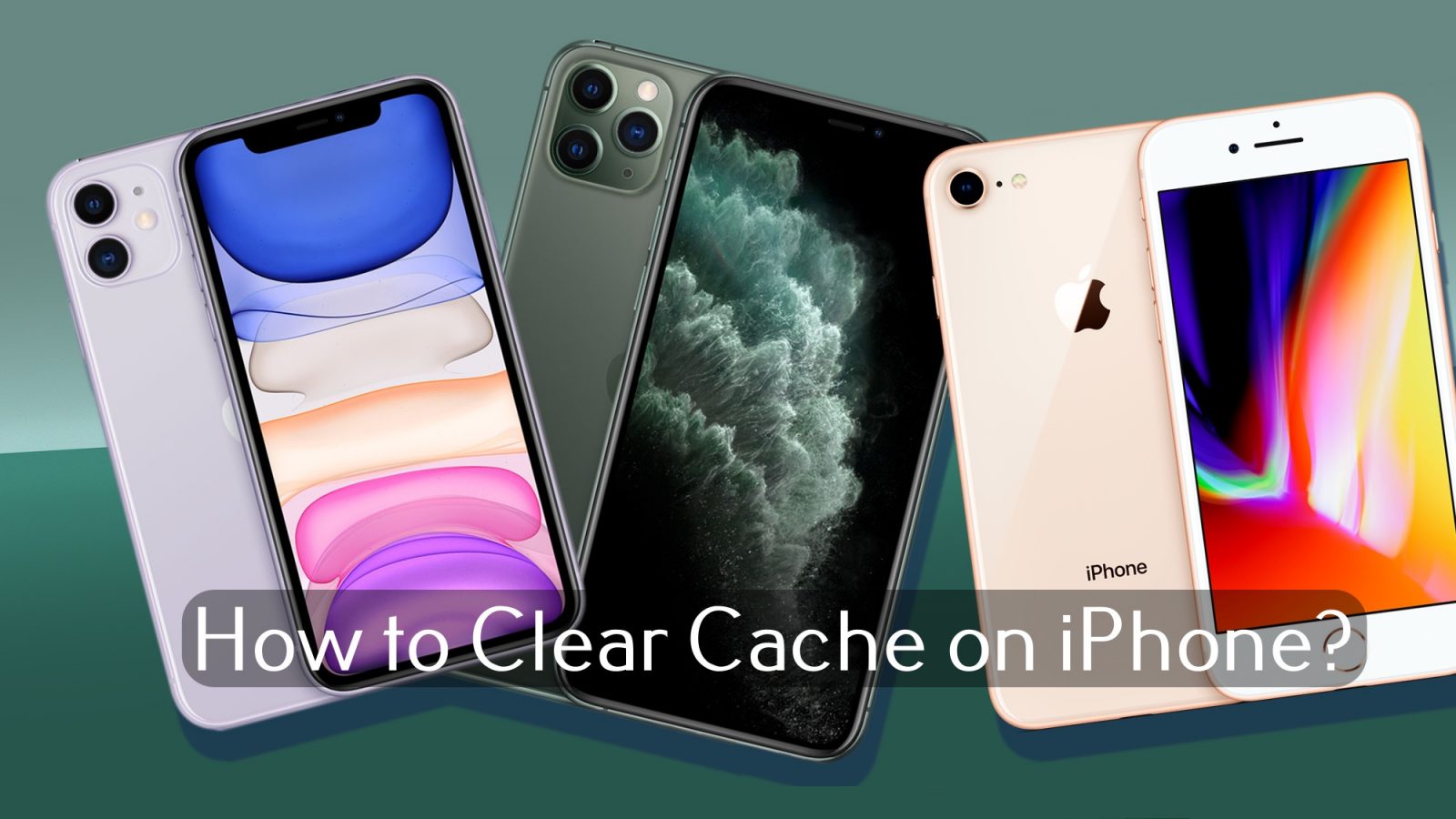 How to Clear Cache on iPhone [All Models] - TechOwns