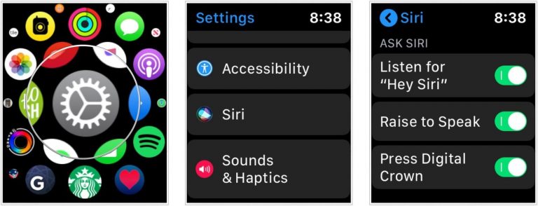 How to Use Siri on Apple Watch in 3 Different Methods
