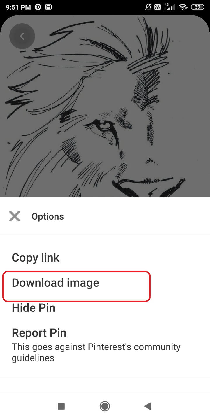 how to save pinterest video to gallery