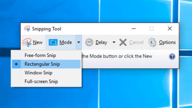 for windows instal SnippetsLab