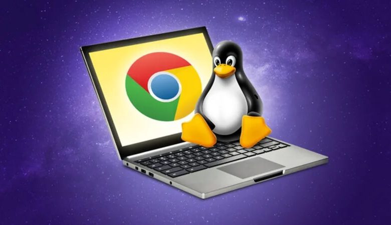 How To Install Linux On Chromebook Steps With Screenshots TechOwns