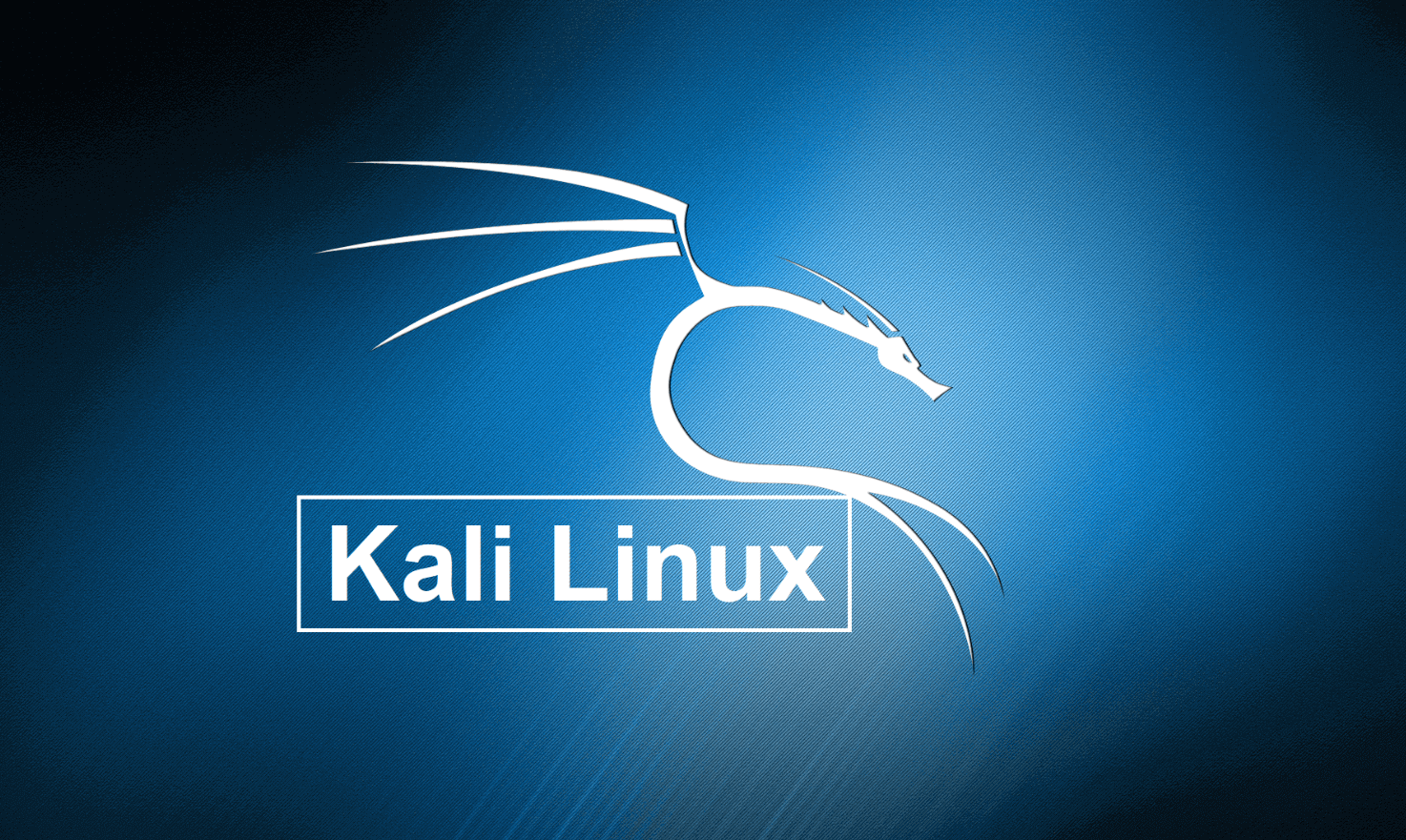 How To Install Kali Linux Steps With Screenshots TechOwns