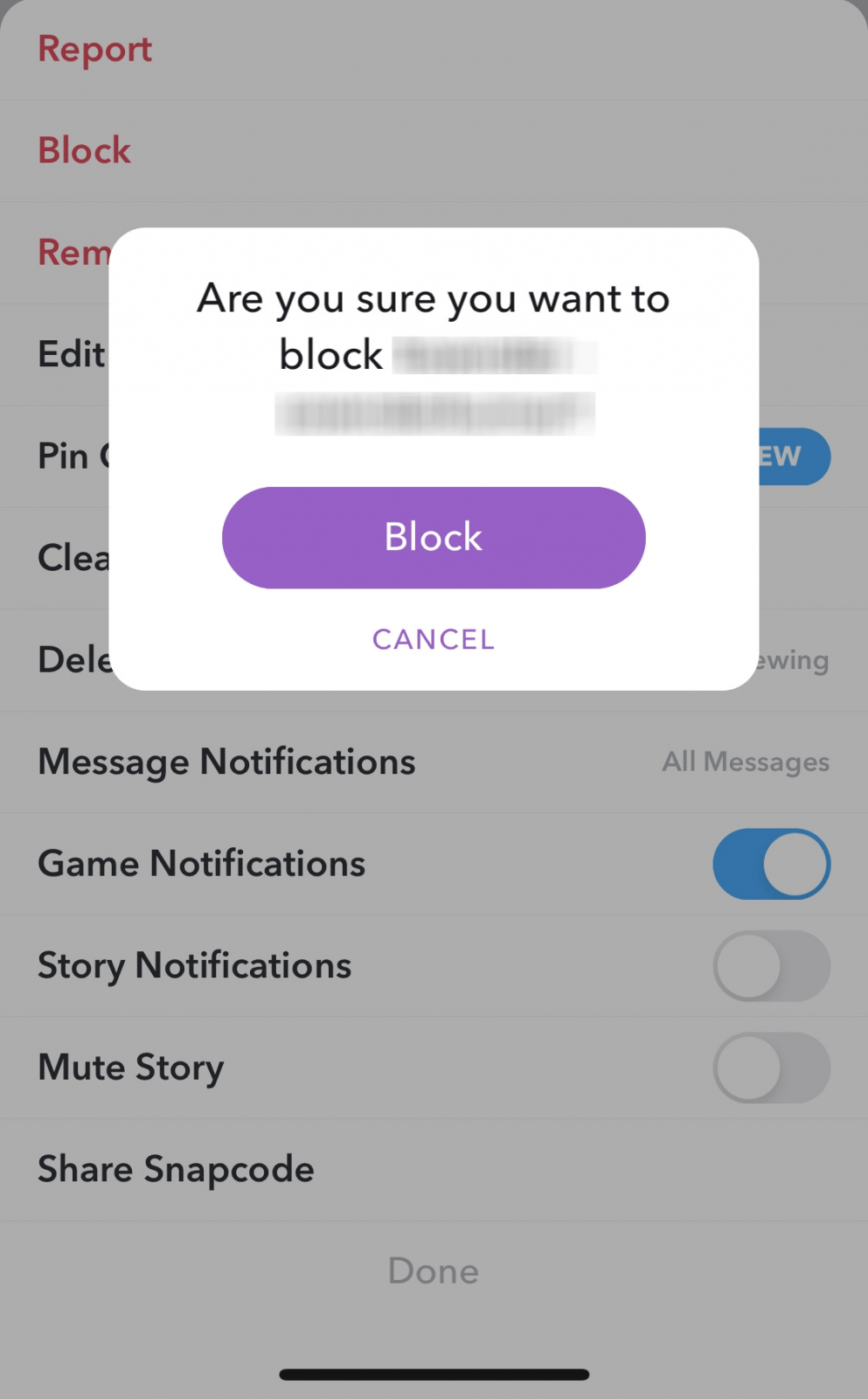 How to Block Someone on Snapchat [With Screenshots] TechOwns