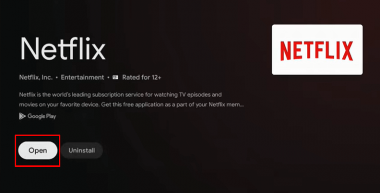 Netflix on Google TV - Installation Guide with Screenshots - TechOwns