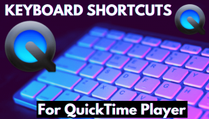 update quicktime player