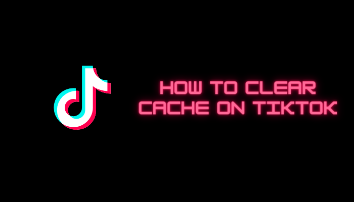 how-to-clear-cache-on-tiktok-in-two-ways-techowns