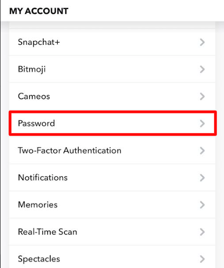 Click on Password option