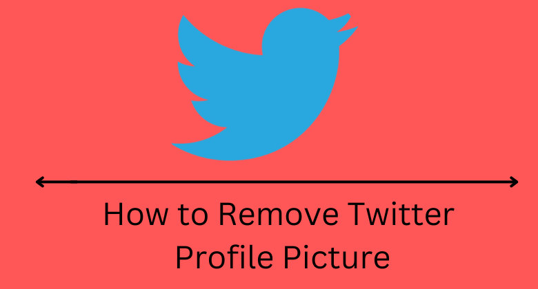 how-to-delete-or-remove-twitter-profile-picture-techowns