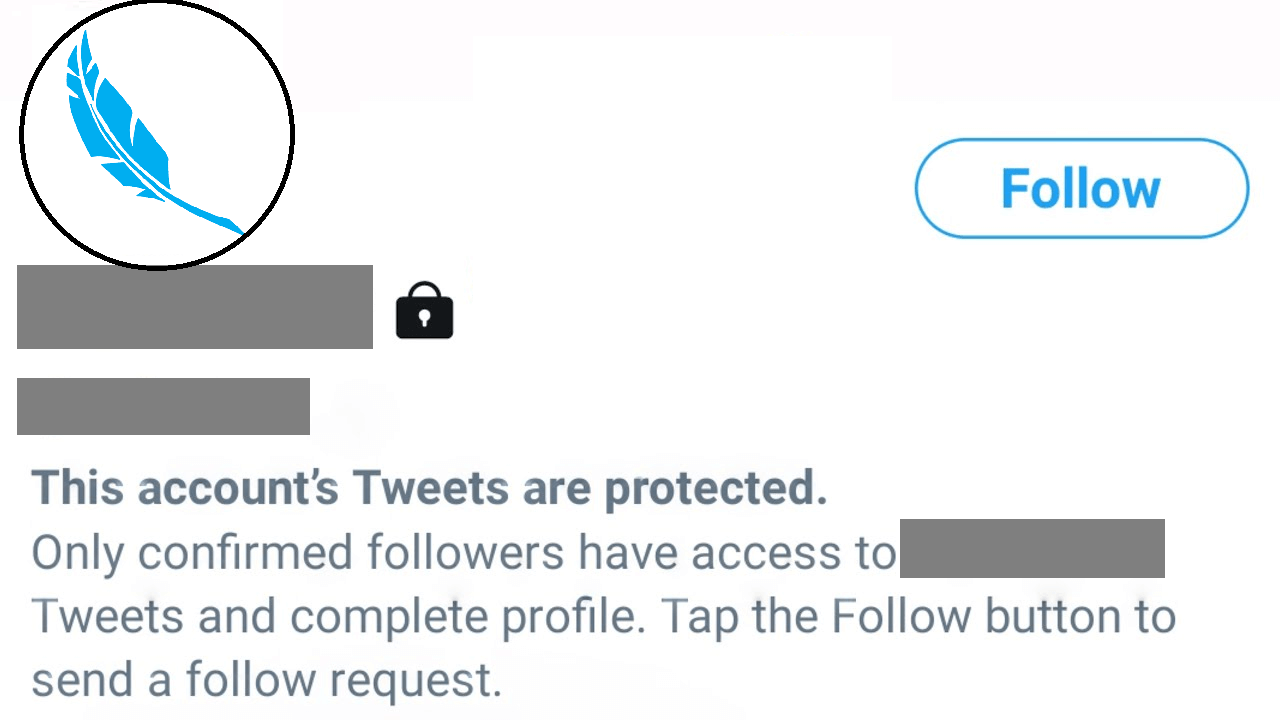 How to View a Private Twitter Account TechOwns