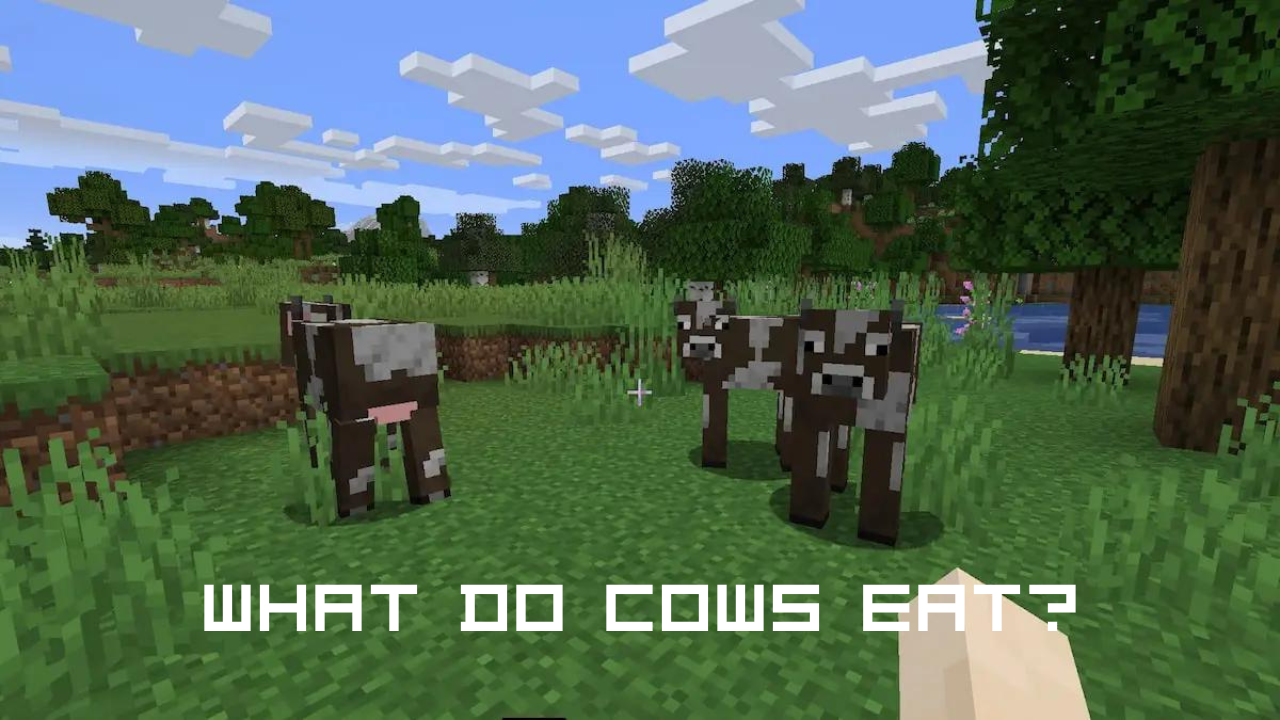 Cows in Minecraft What Do They Eat? TechOwns